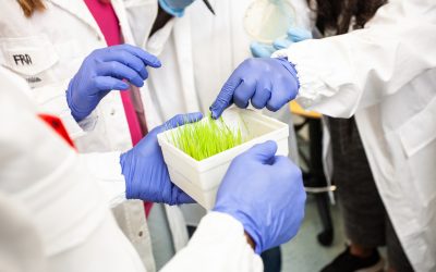 International Scientific Cooperation Can Boost the Knowledge Society
